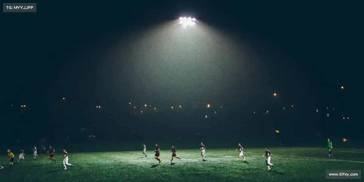 乐玩lewin国际——🏊♀️泳往直前,浪遏飞舟!